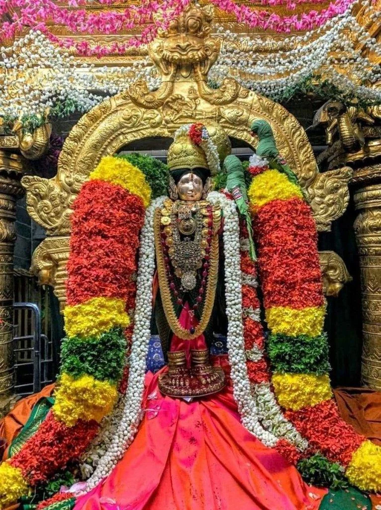 ధనుర్మాసంలో తిరుప్పావై పారాయణం చేస్తే.. ఆ ఇంట సిరిసంపదలకు లోటుండదా!