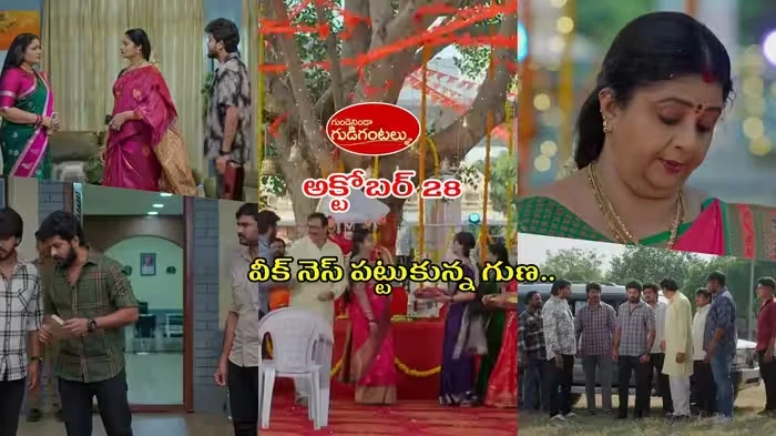 గుండె నిండా గుడి గంటలు: అమ్మవారి సాక్షిగా మీనా మెడలో బాలు తాళి!